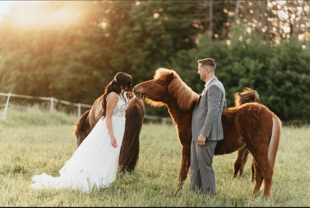 244d1777-3cb4-46c2-9c2c-856c6363bf8a